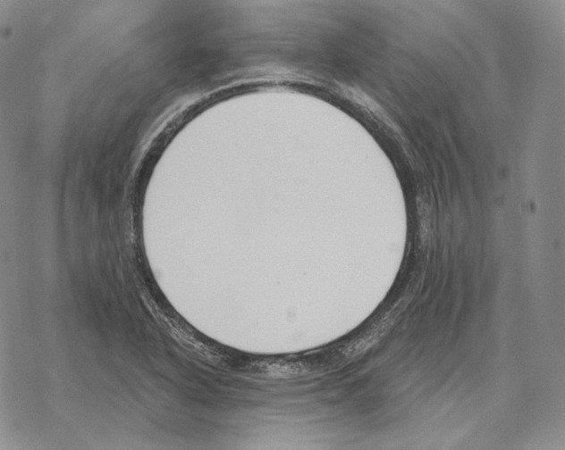 X0000069381318200606091641