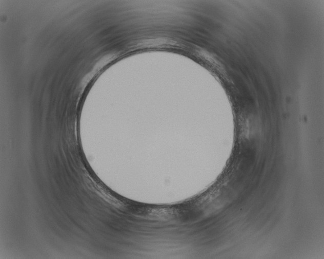 X0000069381322200606091641