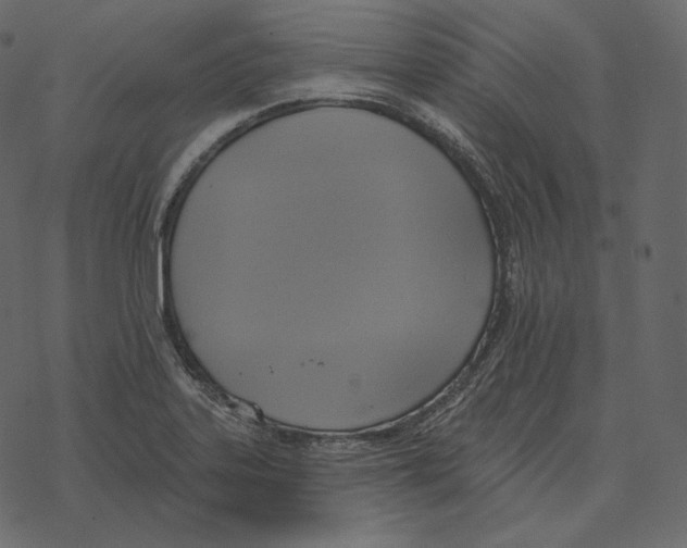 X0000069381323200606091641