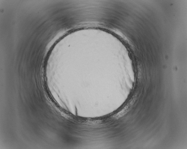 X0000069381325200606091641