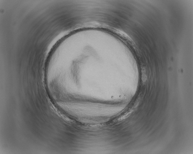 X0000069381326200606091641