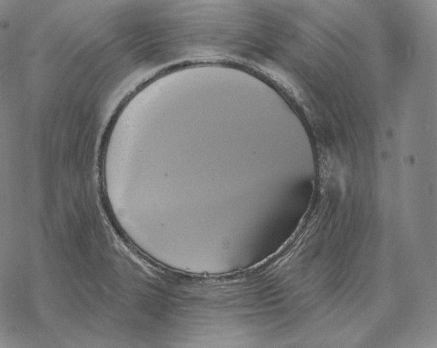 X0000069381327200606091641