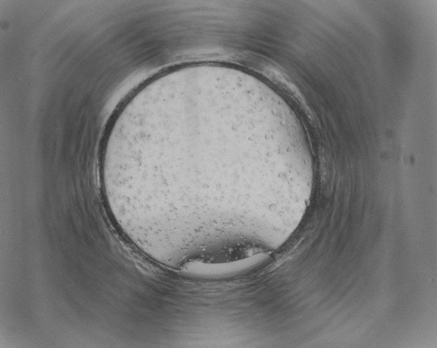 X0000069381328200606091641