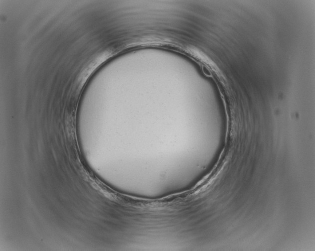 X0000069381329200606091641