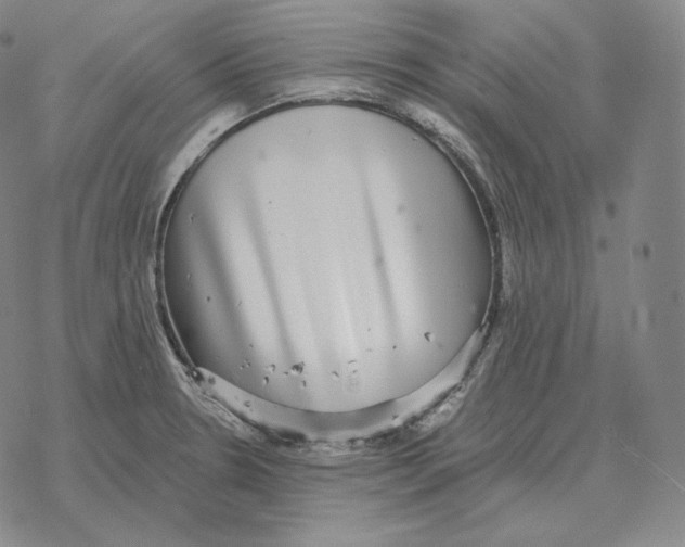 X0000069381330200606091641