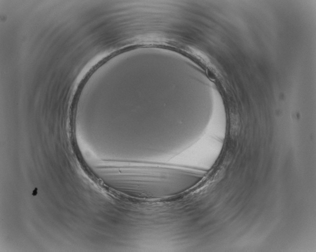 X0000069381331200606091641