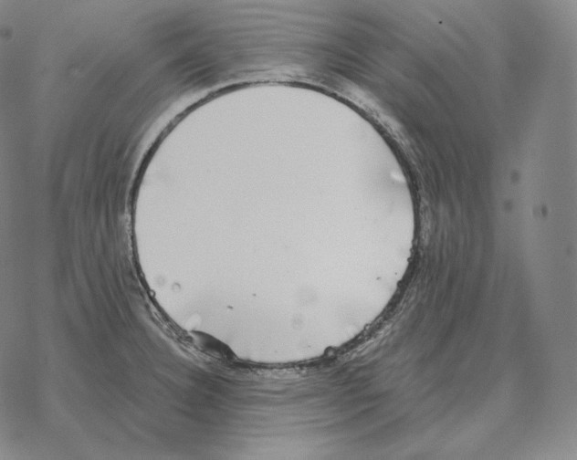 X0000069381332200606091641