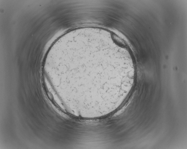 X0000069381333200606091641