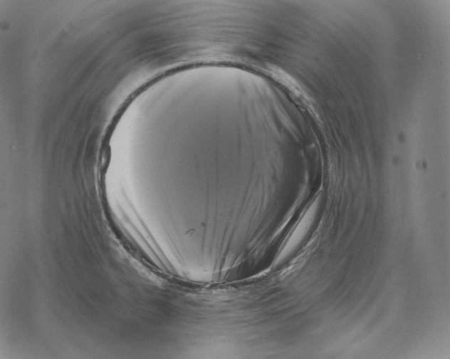 X0000069381334200606091641