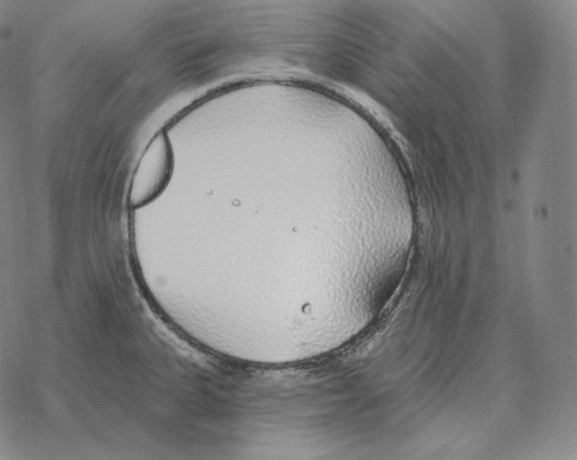 X0000069381335200606091641