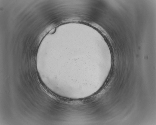 X0000069381337200606091641