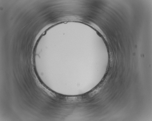 X0000069381339200606091641