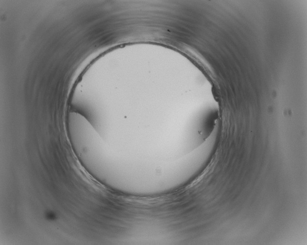 X0000069381340200606091641