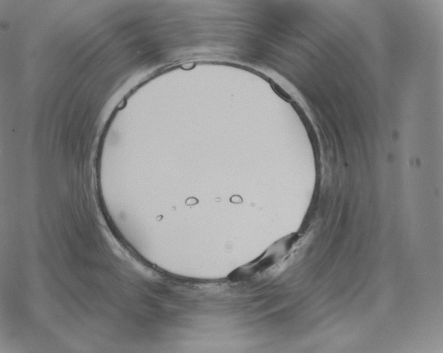 X0000069381341200606091641