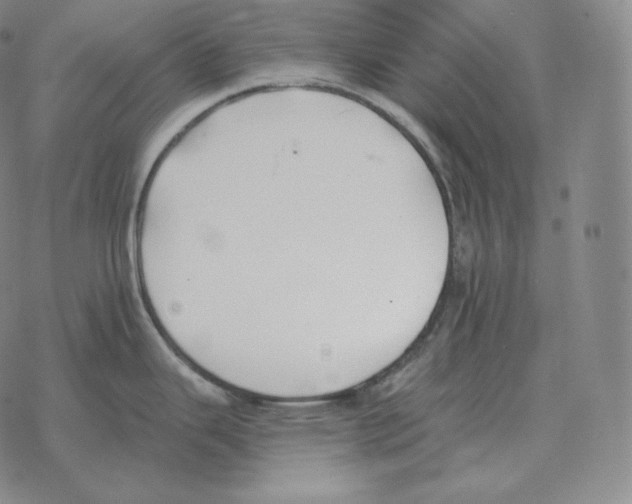 X0000069381343200606091641