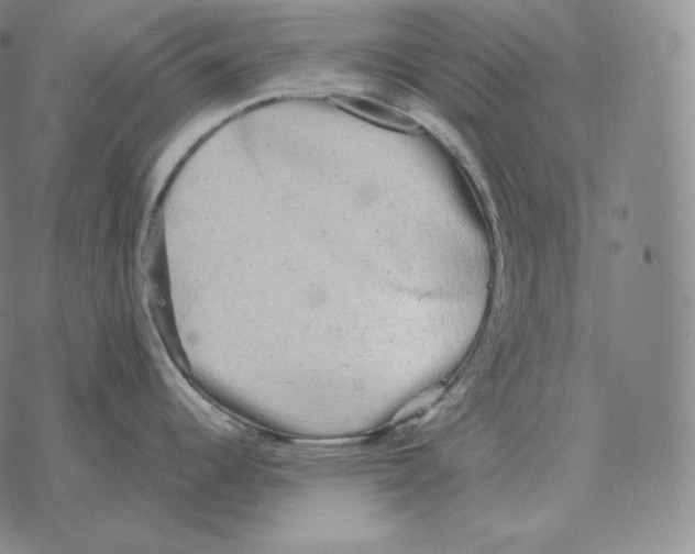 X0000069381344200606091641