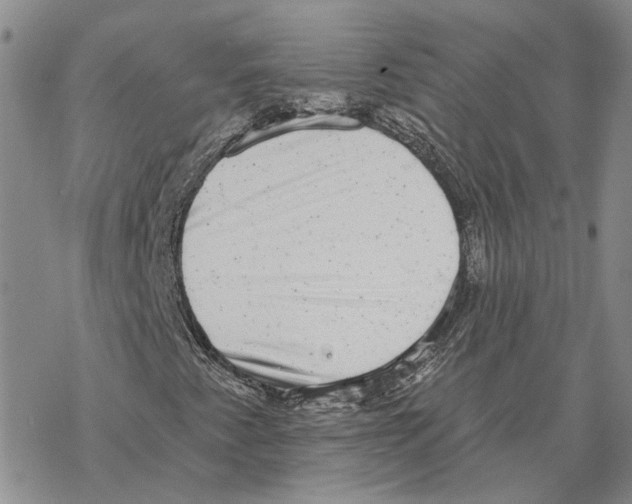 X0000069381345200606091641