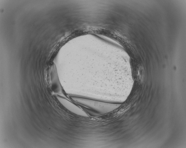 X0000069381348200606091641