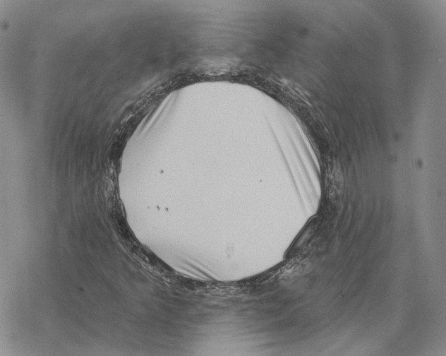 X0000069381349200606091641