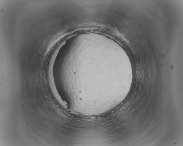 X0000069381352200606091641