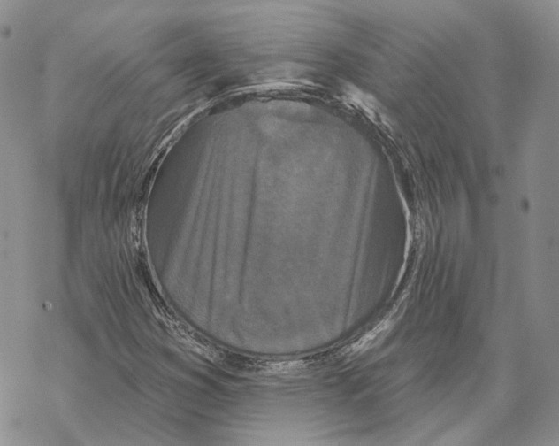 X0000069381353200606091641