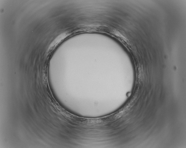 X0000069381354200606091640