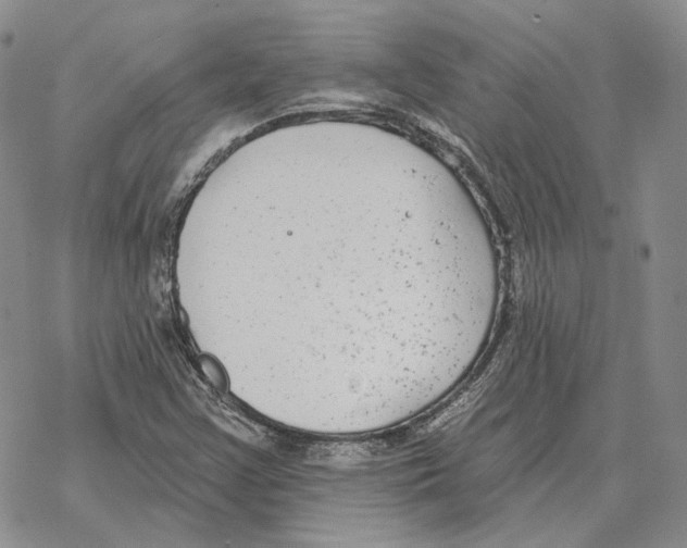 X0000069381355200606091640