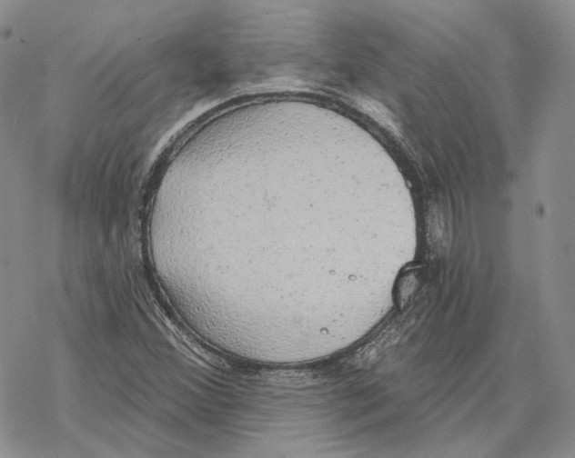 X0000069381356200606091640