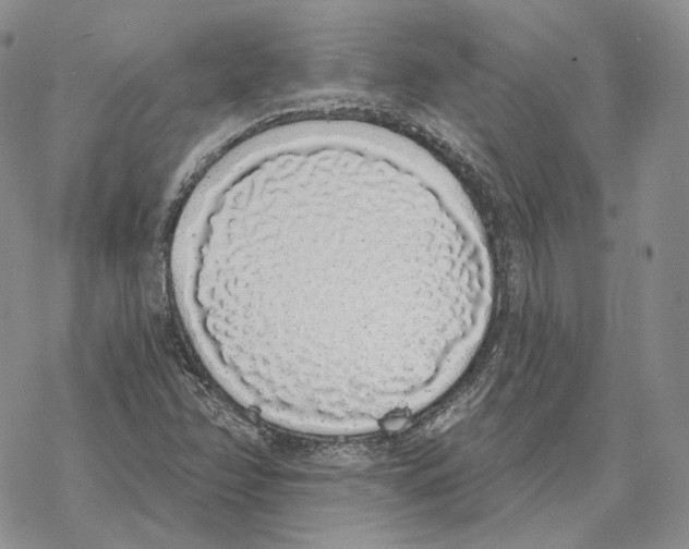 X0000069381358200606091640