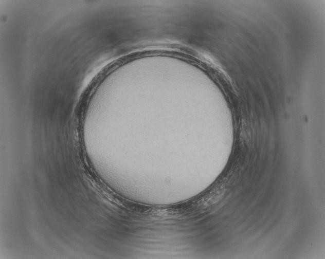 X0000069381360200606091640