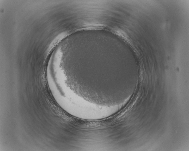 X0000069381362200606091640