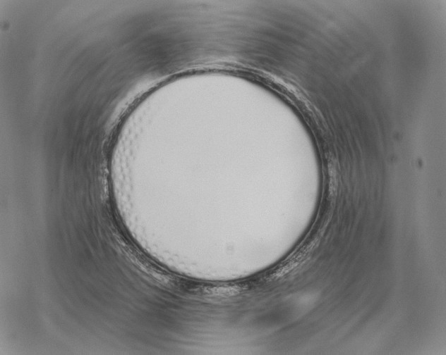 X0000069381363200606091640