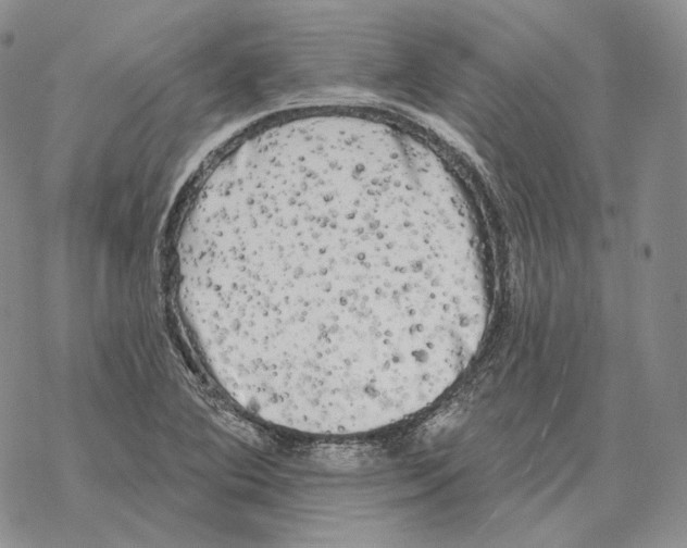 X0000069381364200606091640