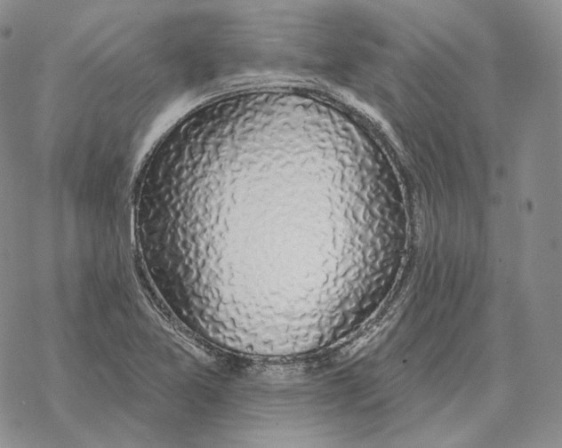 X0000069381365200606091640