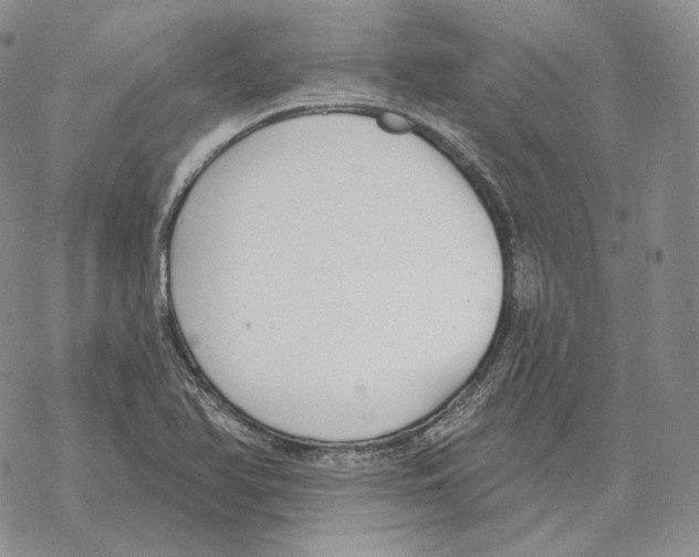 X0000069381366200606091640