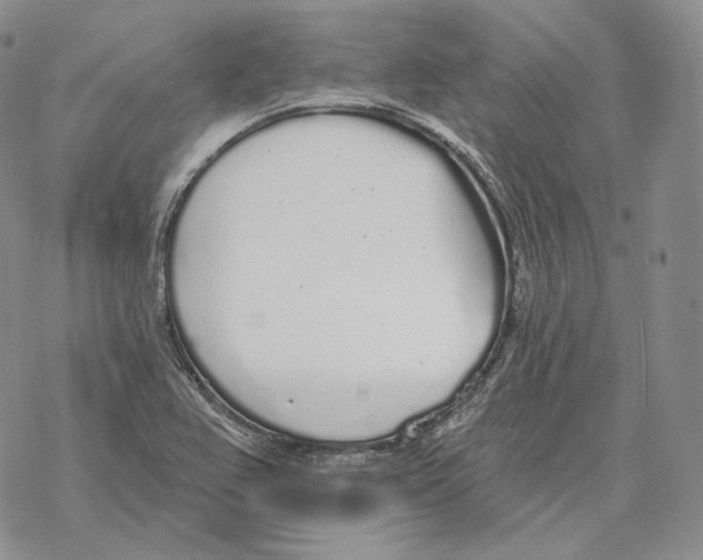 X0000069381367200606091640