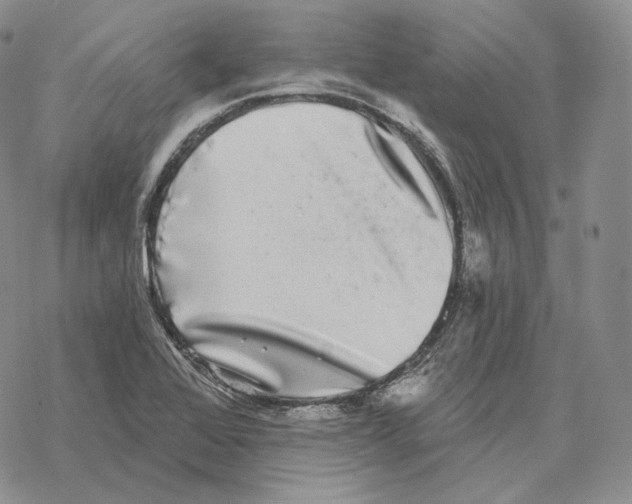 X0000069381368200606091640