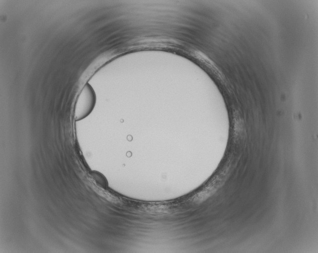 X0000069381370200606091640