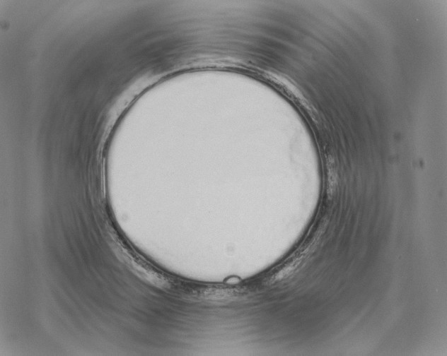 X0000069381371200606091640