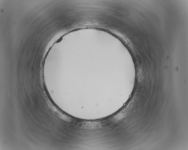 X0000069381374200606091640