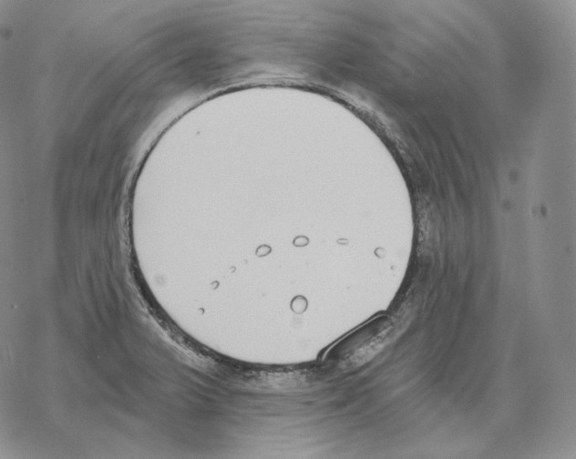 X0000069381375200606091640