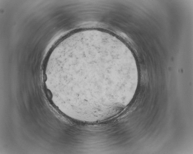 X0000069381376200606091640