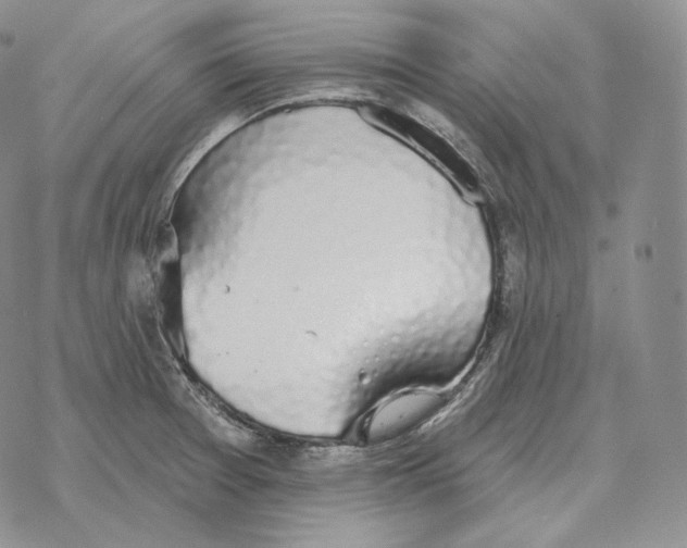 X0000069381377200606091640