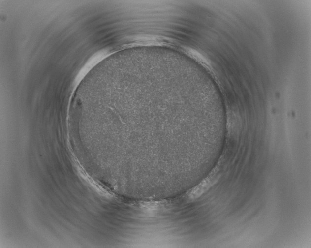 X0000069381378200606091640