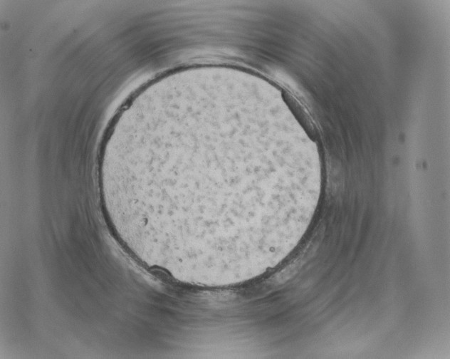 X0000069381384200606091640