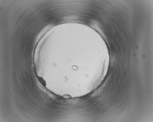 X0000069381386200606091640