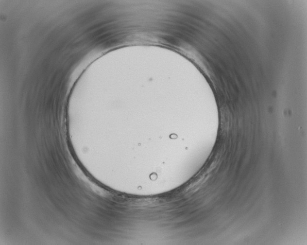 X0000069381387200606091640