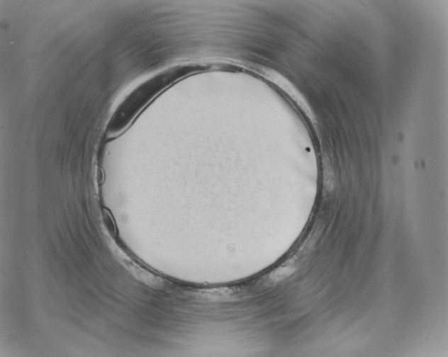 X0000069381388200606091640