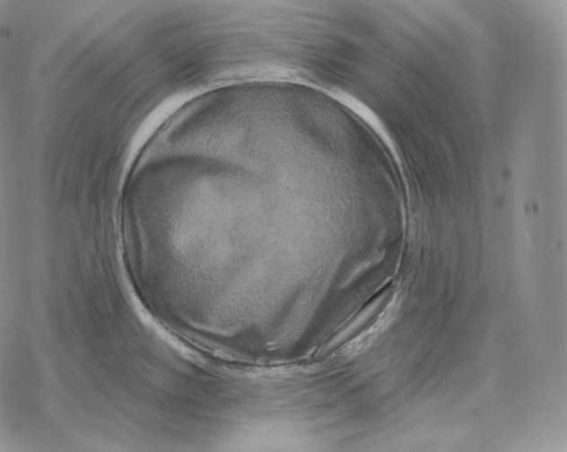 X0000069381389200606091640