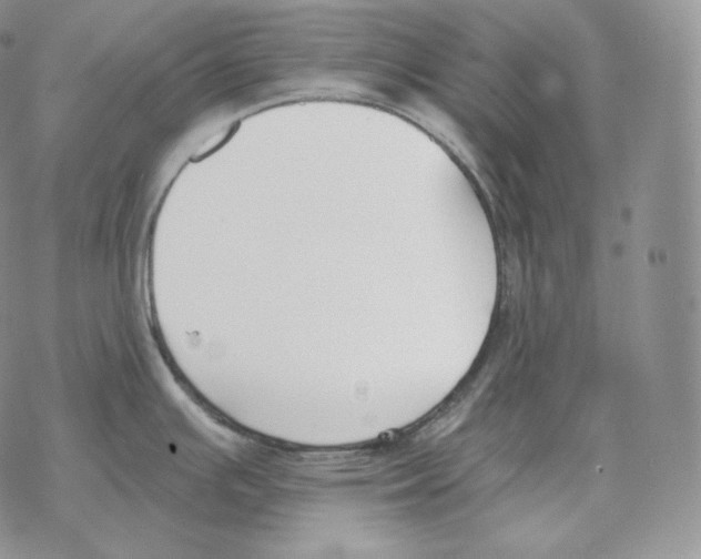 X0000069381391200606091640